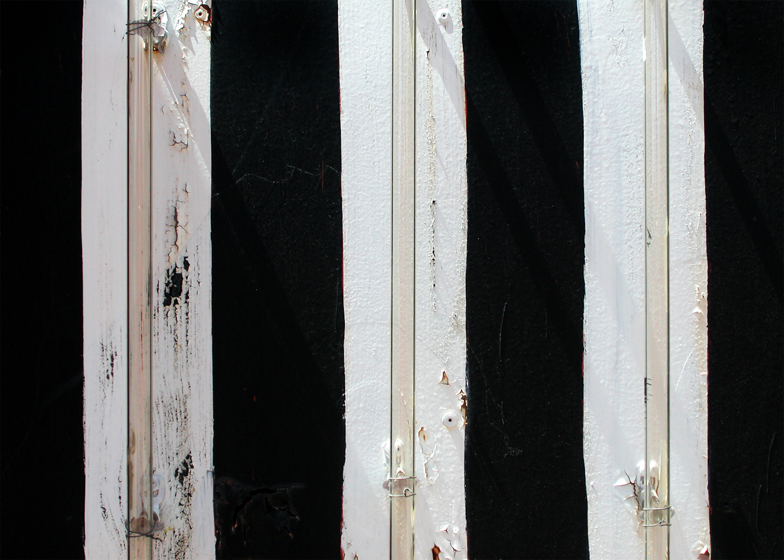neon_boneyard-12.jpg